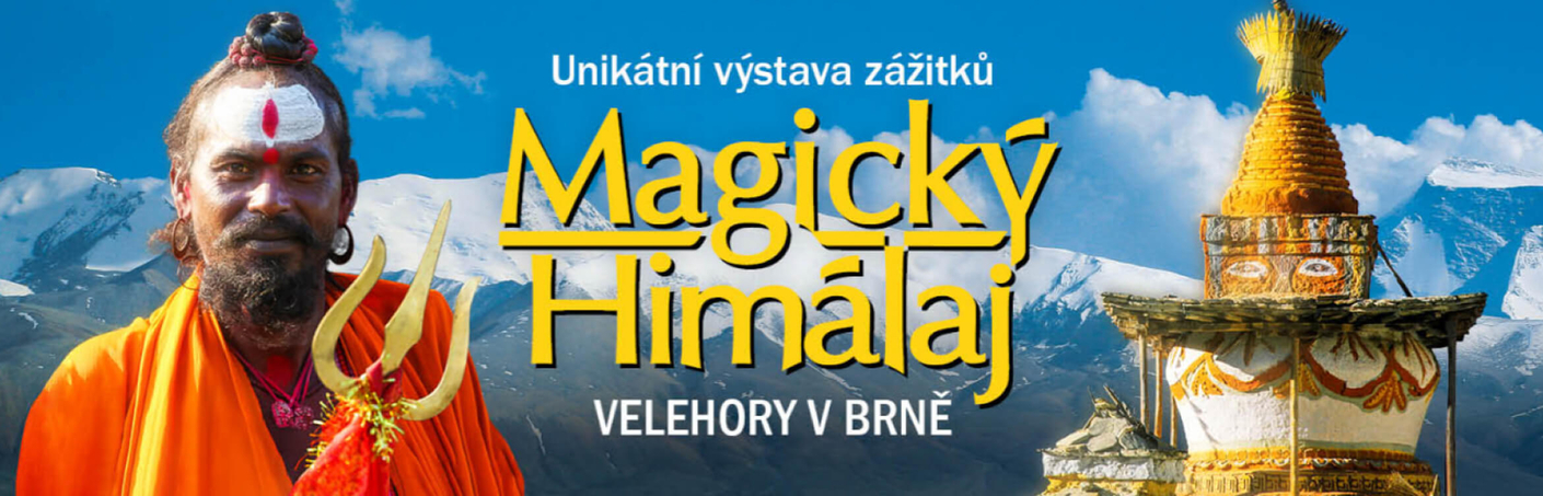 Koncepto reklamní agentura a grafické studio – LIVINGSTONE