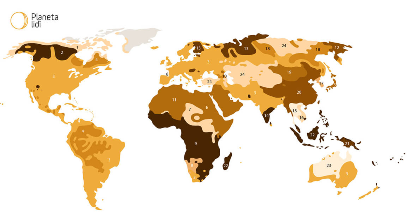 Koncepto reklamní agentura a grafické studio – Planeta lidí